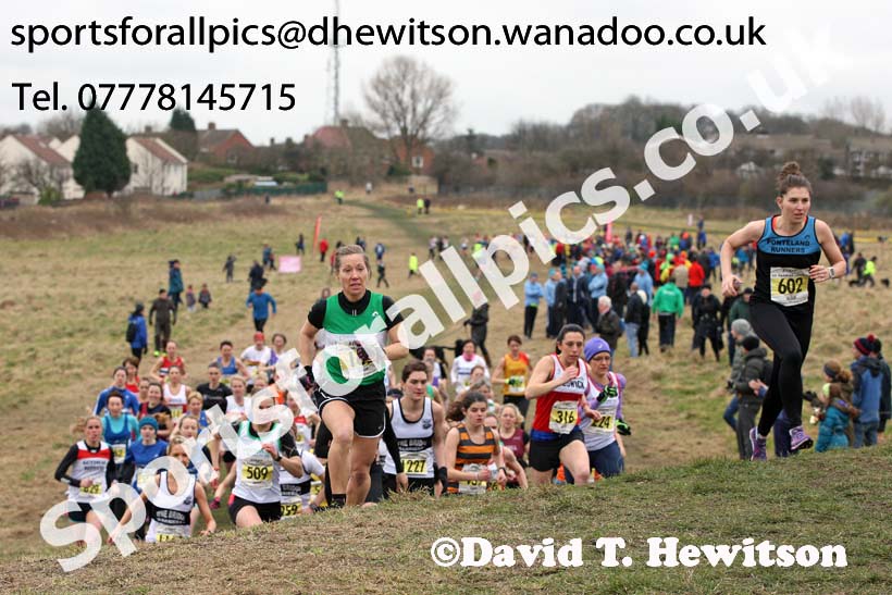 Senior womens Start Fitness NEHL, Wrekenton, Gateshead. Photo: David T. Hewitson/Sports for All Pics